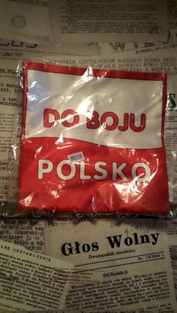 Pillow case TO FIGHT POLAND