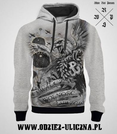 Sweatshirt WRP "Cichociemni - Fight for freedom or die" - gray with hood