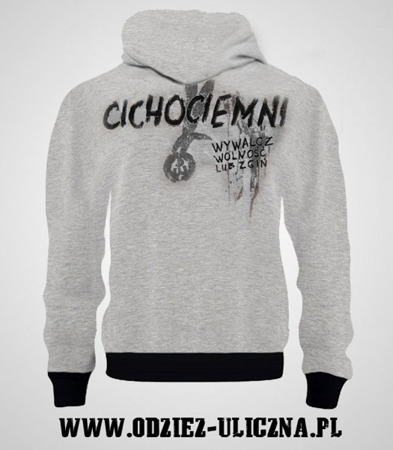 Sweatshirt WRP "Cichociemni - Fight for freedom or die" - gray with hood