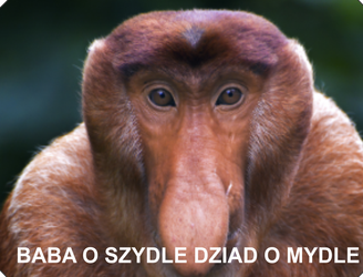 Magnes PM 0055 Baba o szydle dziad o mydle