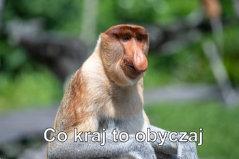 Magnes PM 0036 Co Kraj To Obyczaj