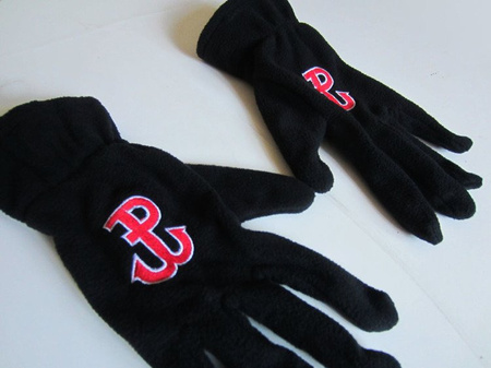 Winter gloves PW