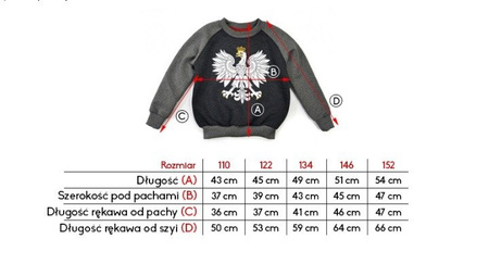 Bluza dziecięca Aquila "Orzeł"