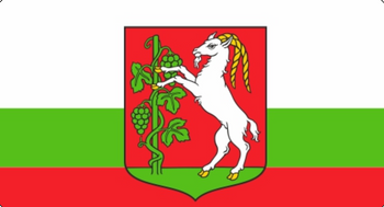 Magnes PM 0250 Flaga Lublina z godłem.