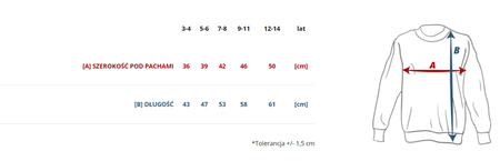 Bluza patriotyczna dziecięca Orzełek