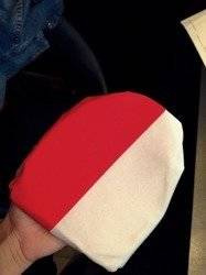 Fan flags on the mirror