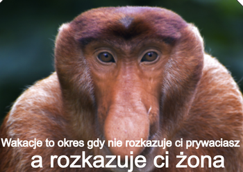 Magnes PM 0041 Wakacje To Okres Gdy Nie Rozkazuje Ci Prywaciarz a Rozkazuje Ci Żona