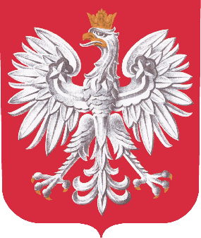Domyślna nazwa