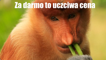 Magnes PM 0040 Za Darmo To Uczciwa Cena