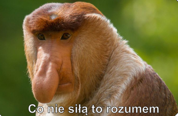 Magnes PM 0044 Co Nie Siłą To Rozumem