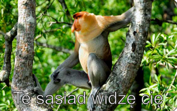 Magnes PM 0107 Te sąsiad widzę Cię