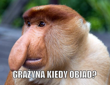 Magnes PM 0029 Grażyna kiedy Obiad?