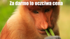 Magnes PM 0040 Za Darmo To Uczciwa Cena