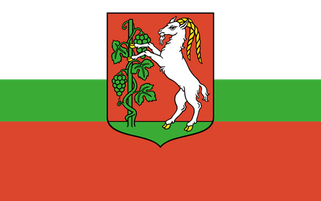 Lublin flag 100 cm x 60