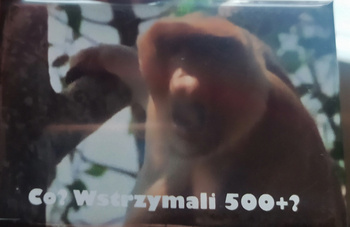 Magnes PM 0030 Co? Wstrzymali 500+?