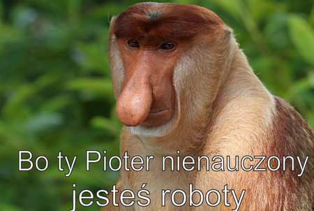 Magnes PM 0109 Bo ty Pioter nienauczony jesteś roboty