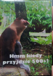 Magnes PM 0027 Hmm Kiedy Przyjdzie 500+?