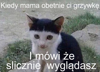 Magnes PM 0043 Kiedy Mama Obetnie Ci Grzywkę i Mówi Że Ślicznie Wyglądasz