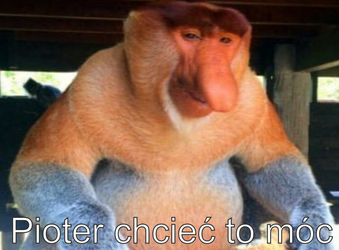 Magnes PM 0046 Pioter Chcieć To Móc