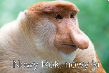 Magnes PM 0108 Nowy rok, nowy ja