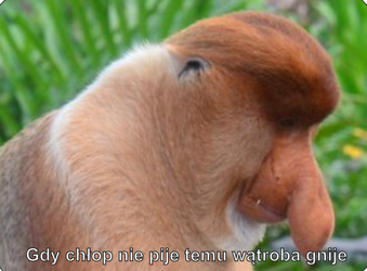 Magnes PM 0049 Gdy chłop nie pije to mu wątroba gnije