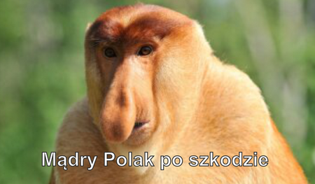 Magnes PM 0054 Mądry polak po szkodzie
