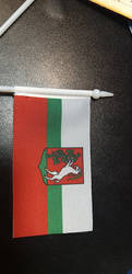 Chorągiew mała Lublin  