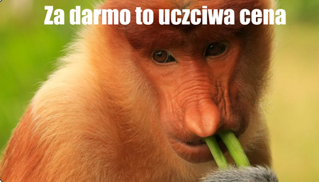 Magnes PM 0040 Za Darmo To Uczciwa Cena