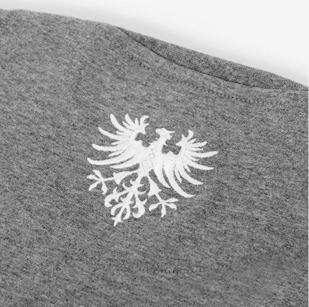 Greater Poland Uprising - Limited Collection!