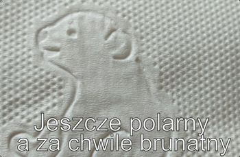Magnes PM 0042 Jeszcze Polarny a Za Chwilę Brunatny
