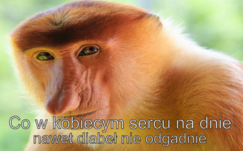 Magnes PM 0039 Co W Kobiecym Sercu Na Dnie Nawet Diabeł Nie Odgadnie