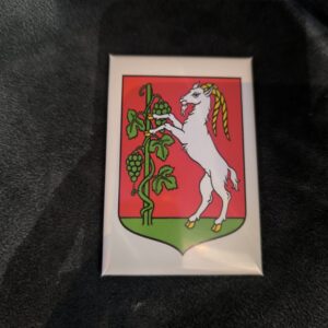 Magnes PM 0251 Herb pion.